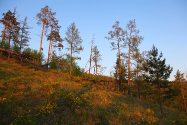 Similar image 237186