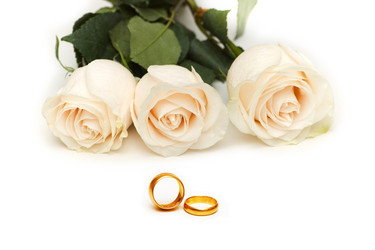 Similar image 237219