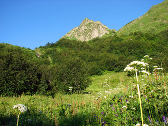 Similar image 237220