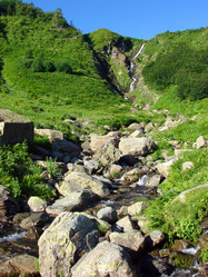 Similar image 237226