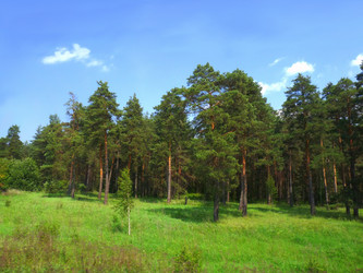 Similar image 237231