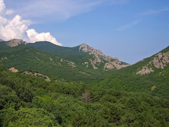 Similar image 237234