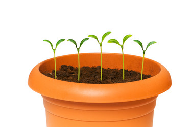 Similar image 237237