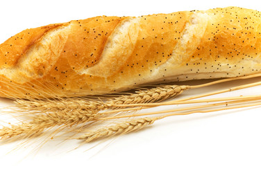 Similar image 237245