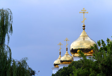 Similar image 237282