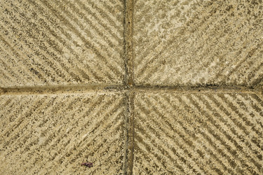 Similar image 237285