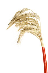 Similar image 237339