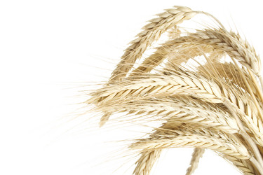 Similar image 237342