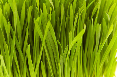 Similar image 237352