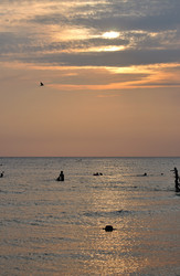 Similar image 237356