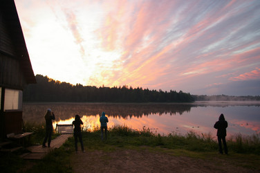 Similar image 237390