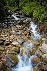 Similar image 237392