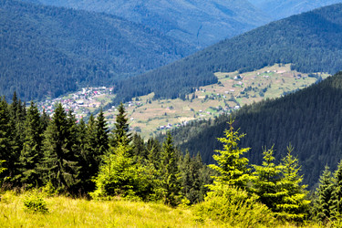 Similar image 237394