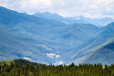 Similar image 237397