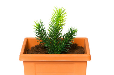 Similar image 237439