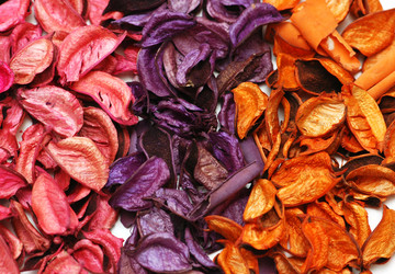 Similar image 237459