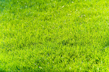 Similar image 237462