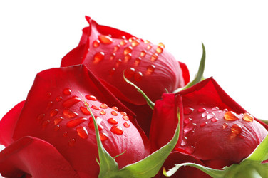 Similar image 237467