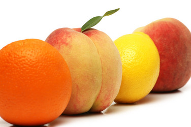 Similar image 237494