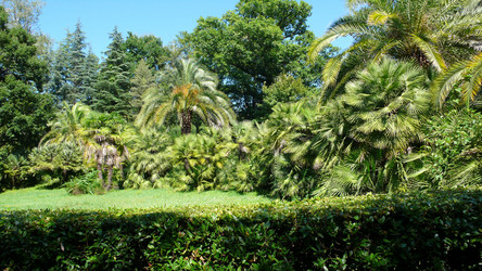 Similar image 237505