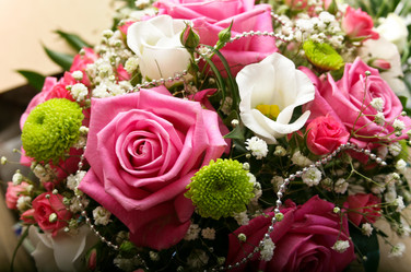 Similar image 237595