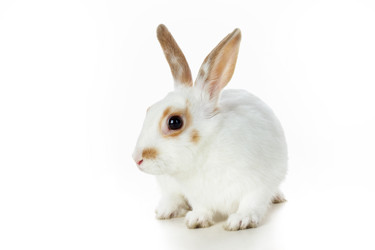 Similar image 237598