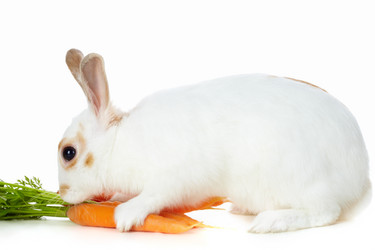 Similar image 237601