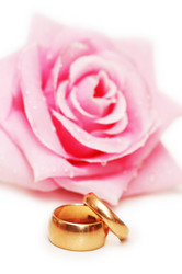 Similar image 237632