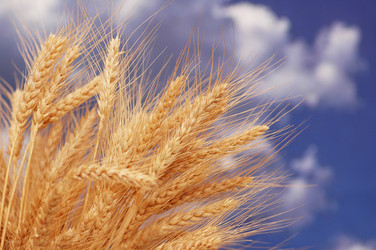 Similar image 237655