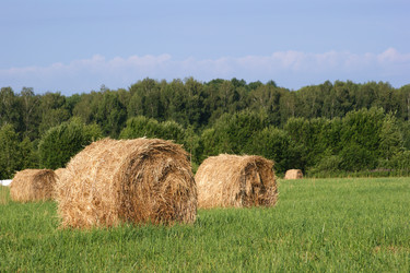 Similar image 237670