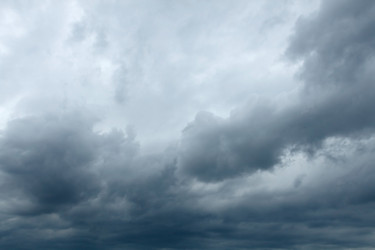 Similar image 237699