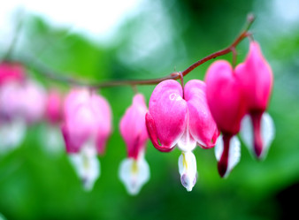 Similar image 237709