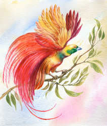 Similar image 237779