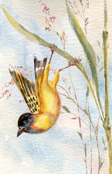 Similar image 237781