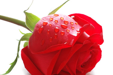 Similar image 237787