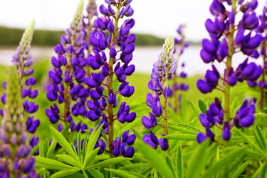 Similar image 237871