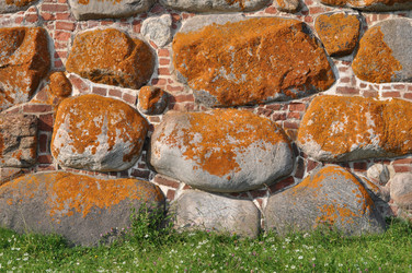 Similar image 237910