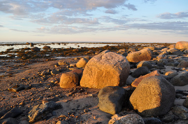 Similar image 237920