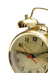 Similar image 237961