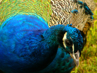 Similar image 238001