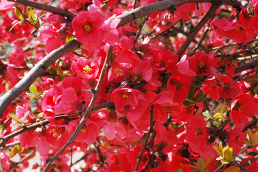 Similar image 238004