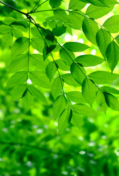 Similar image 238008