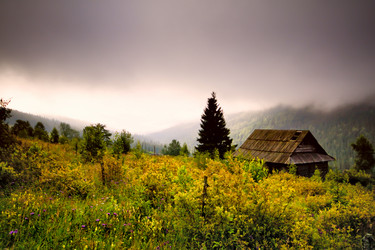 Similar image 238069