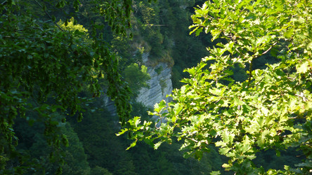 Similar image 238070