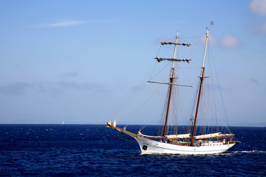 Similar image 238081