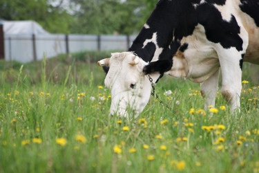 Similar image 238098