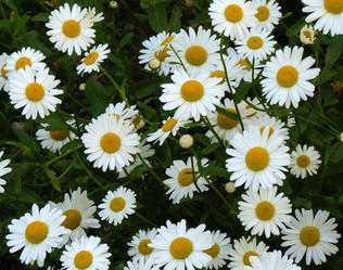 Similar image 238113