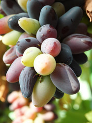 Similar image 238124