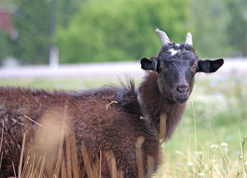 Similar image 238142