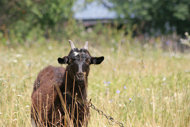 Similar image 238143